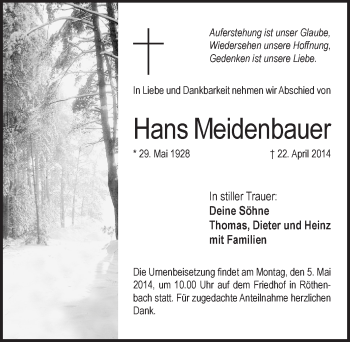 Traueranzeige von Hans Meidenbauer von Pegnitz-Zeitung